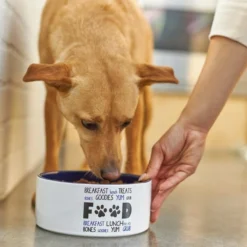 Frisco Food & Paw Non-skid Ceramic Dog Bowl 10 Frisco Food & Paw Non-skid Ceramic Dog Bowl -FRISCO Sales 270194 PT2. SY630 V1620761622