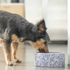 Frisco Blue Garden Non-skid Ceramic Dog Bowl -FRISCO Sales 270197 PT2. SY630 V1620762069