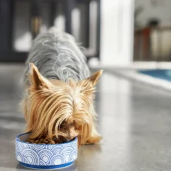 Frisco Blue Oriental Non-skid Ceramic Dog & Cat Bowl -FRISCO Sales 270203 PT2. SY630 V1620761962