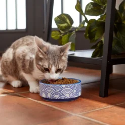 Frisco Blue Oriental Non-skid Ceramic Dog & Cat Bowl -FRISCO Sales 270203 PT3. SY630 V1620761636