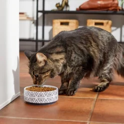 Frisco Tribal Aztec Non-skid Ceramic Dog & Cat Bowl -FRISCO Sales 270217 PT3. SY630 V1620762202