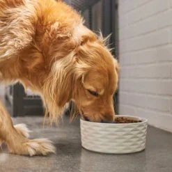 Frisco Geometric Non-skid Ceramic Dog Bowl 10 Frisco Geometric Non-skid Ceramic Dog Bowl -FRISCO Sales 270224 PT2. SY630 V1620762188