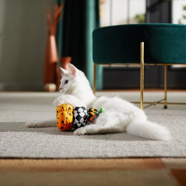 Frisco Halloween Fancy Pumpkin Plush Kicker Cat Toy with Catnip 5 Frisco Halloween Fancy Pumpkin Plush Kicker Cat Toy with Catnip - Image 3