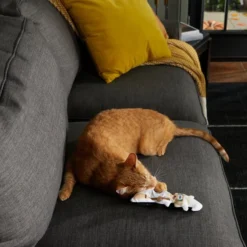 Frisco Halloween Good Witch, Bad Witch Reversible Plush Cat Toy with Catnip -FRISCO Sales 270301 PT3. SY630 V1624824841