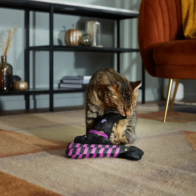 Frisco Halloween Witch Hat & Legs Plush Cat Toy with Catnip, 2 count 5 Frisco Halloween Witch Hat & Legs Plush Cat Toy with Catnip, 2 count - Image 3