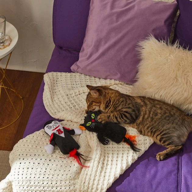 Frisco Vampire & Black Cat Plush Kicker Cat Toy with Catnip, 2 count 5 Frisco Vampire & Black Cat Plush Kicker Cat Toy with Catnip, 2 count - Image 3