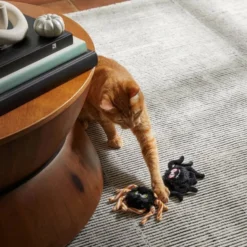 Frisco Halloween Spiders Plush Cat Toy with Catnip, 2 count -FRISCO Sales 270317 PT3. SY630 V1624824961