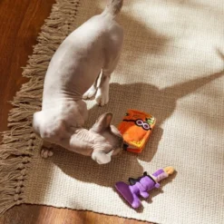 Frisco Halloween Monster Book & Candle Plush Cat Toy with Catnip, 2 count -FRISCO Sales 270321 PT3. SY630 V1624824924