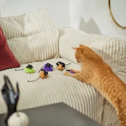 Frisco Halloween Bat Mice Plush Cat Toy with Catnip, 5 count -FRISCO Sales 270353 PT3. SY630 V1624817260