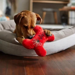 Frisco Wicked Cute Bone Reversible Plush Squeaky Dog Toy -FRISCO Sales 270357 PT3. SY630 V1624817551