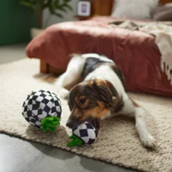 Frisco Halloween Fancy Pumpkin 2-in-1 Plush Squeaky Dog Toy -FRISCO Sales 270359 PT3. SY630 V1624817665