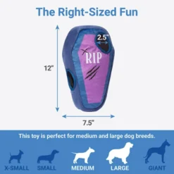 Frisco Halloween Mummy & Coffin Hide & Seek Puzzle Plush Squeaky Dog Toy -FRISCO Sales 270365 PT1. SY630 V1626285068