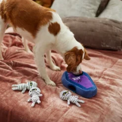 Frisco Halloween Mummy & Coffin Hide & Seek Puzzle Plush Squeaky Dog Toy -FRISCO Sales 270365 PT3. SY630 V1624817620