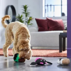 Frisco Cupcakes Plush Squeaky Dog Toy, 3 count -FRISCO Sales 270367 PT3. SY630 V1624817674