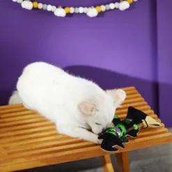 Frisco Halloween Good Witch, Bad Witch Reversible Plush Squeaky Dog Toy -FRISCO Sales 270429 PT3. SY630 V1624817643