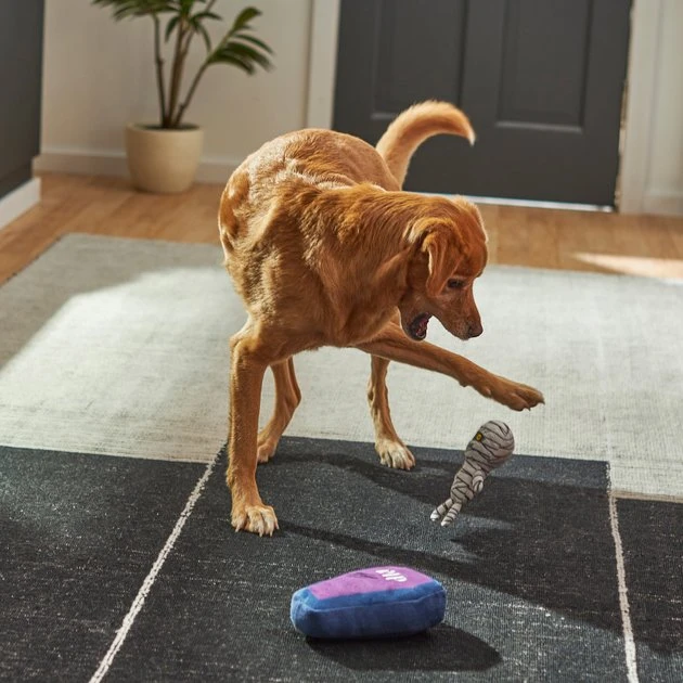 Frisco Halloween Mummy & Coffin Plush Squeaky Dog Toy, 2 count 5 Frisco Halloween Mummy & Coffin Plush Squeaky Dog Toy, 2 count - Image 3