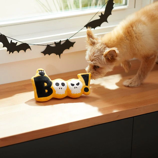Frisco Halloween Boo! Plush Squeaky Dog Toy 5 Frisco Halloween Boo! Plush Squeaky Dog Toy - Image 3