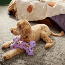 Frisco Halloween My First Halloween Bone Reversible Plush Squeaky Dog Toy 9 Frisco Halloween My First Halloween Bone Reversible Plush Squeaky Dog Toy -FRISCO Sales 270452 PT3. SY630 V1624817314