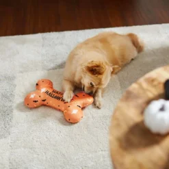 Frisco Halloween All the Ghouls Love Me Bone Reversible Plush Squeaky Dog Toy 9 Frisco Halloween All the Ghouls Love Me Bone Reversible Plush Squeaky Dog Toy -FRISCO Sales 270454 PT3. SY630 V1624817458