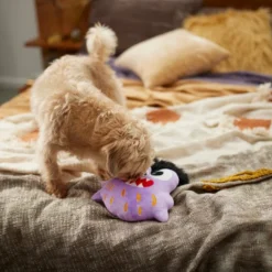 Frisco Friendly Monster Round Plush Squeaky Dog Toy -FRISCO Sales 270468 PT3. SY630 V1624817404