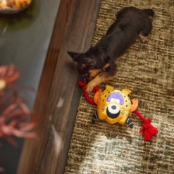 Frisco Friendly Monster Plush with Rope Squeaky Dog Toy -FRISCO Sales 270474 PT3. SY630 V1624824917