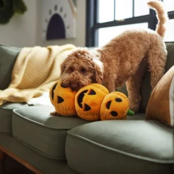 Frisco Halloween Jack-o-Lantern Tower Bottle Cruncher Plush Squeaky Dog Toy -FRISCO Sales 270476 PT3. SY630 V1624817540