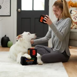 Frisco Halloween 30 Days of Halloween Countdown Blocks Plush Squeaky Dog Toy, 3 count -FRISCO Sales 270494 PT3. SY630 V1624817483