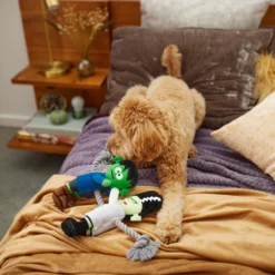 Frisco Frankenstein & Bride Plush with Rope Squeaky Dog Toy -FRISCO Sales 270496 PT3. SY630 V1624824775