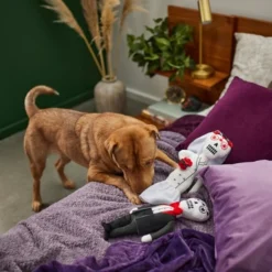 Frisco Sugar Skull Bride & Groom Plush Squeaky Dog Toy, 2 count 7 Frisco Sugar Skull Bride & Groom Plush Squeaky Dog Toy, 2 count -FRISCO Sales 270498 PT3. SY630 V1624817356