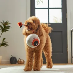 Frisco Halloween Spooky Eyeball Plush with Rope Squeaky Dog Toy -FRISCO Sales 270502 PT3. SY630 V1624817565