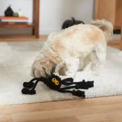 Frisco Halloween Spider Rope Dog Toy -FRISCO Sales 270504 PT3. SY630 V1624825021
