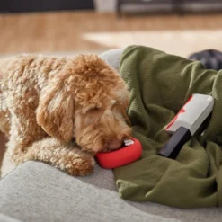 Frisco Halloween Vampire Teeth & Knife Latex Squeaky Dog Toy, 2 count -FRISCO Sales 270512 PT3. SY630 V1624817093