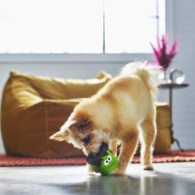 Frisco Halloween Frankenstein Latex Squeaky Dog Toy 5 Frisco Halloween Frankenstein Latex Squeaky Dog Toy - Image 3