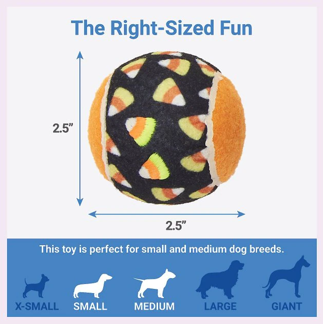 Frisco Halloween Glow in the Dark Fetch Squeaky Tennis Ball Dog Toy, 4 count 4 Frisco Halloween Glow in the Dark Fetch Squeaky Tennis Ball Dog Toy, 4 count - Image 2