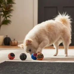 Frisco Halloween Glow in the Dark Fetch Squeaky Tennis Ball Dog Toy, 4 count 10 Frisco Halloween Glow in the Dark Fetch Squeaky Tennis Ball Dog Toy, 4 count -FRISCO Sales 270525 PT3. SY630 V1624824980