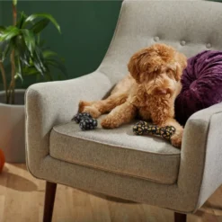 Frisco Halloween Candy Corn & Ghosts TPR Bone Squeaky Dog Toy, 2 count -FRISCO Sales 270529 PT3. SY630 V1624817291