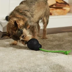 Frisco Skull with Rope Rubber Dog Toy -FRISCO Sales 270531 PT3. SY630 V1624817785