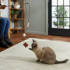 Frisco Camping S'mores Teaser Cat Toy with Catnip 7 Frisco Camping S'mores Teaser Cat Toy with Catnip -FRISCO Sales 270977 PT3. SY630 V1625009195