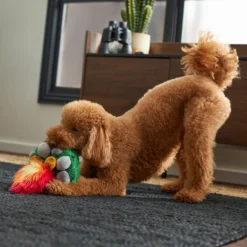 Frisco Camping Campfire Plush Squeaky Dog Toy -FRISCO Sales 270987 PT3. SY630 V1625009045