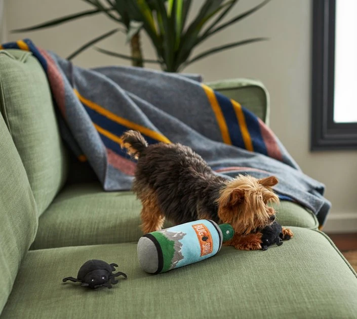 Frisco Camping Bug Spray Plush Squeaky Dog Toy, 3 count 5 Frisco Camping Bug Spray Plush Squeaky Dog Toy, 3 count - Image 3