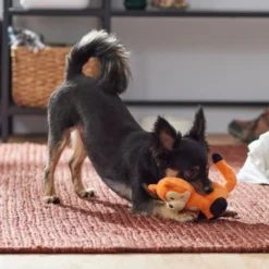 Frisco Camping Fox Plush Squeaky Dog Toy -FRISCO Sales 270993 PT3. SY630 V1625008975