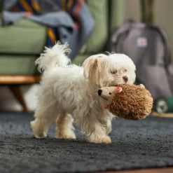 Frisco Camping Hedgehog Plush Squeaky Dog Toy -FRISCO Sales 270995 PT3. SY630 V1625009251