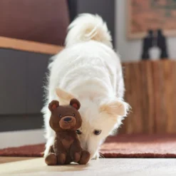 Frisco Camping Bear Plush Squeaky Dog Toy -FRISCO Sales 270999 PT3. SY630 V1625009284