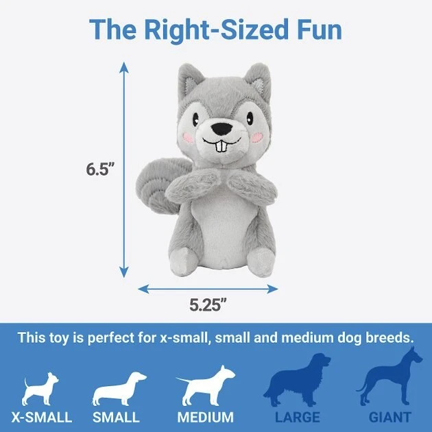 Frisco Camping Squirrel Plush Squeaky Dog Toy 4 Frisco Camping Squirrel Plush Squeaky Dog Toy - Image 2