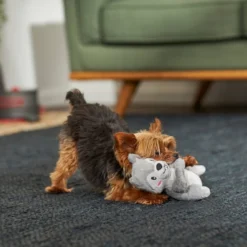 Frisco Camping Squirrel Plush Squeaky Dog Toy 7 Frisco Camping Squirrel Plush Squeaky Dog Toy -FRISCO Sales 271001 PT3. SY630 V1625009206