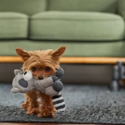 Frisco Camping Raccoon Plush Squeaky Dog Toy -FRISCO Sales 271003 PT3. SY630 V1625009242