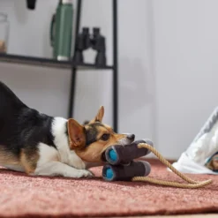 Frisco Camping Binoculars Plush with Rope Squeaky Dog Toy -FRISCO Sales 271009 PT3. SY630 V1625009167