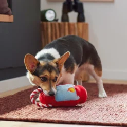 Frisco Camping Lantern Plush with Rope Squeaky Dog Toy 7 Frisco Camping Lantern Plush with Rope Squeaky Dog Toy -FRISCO Sales 271013 PT3. SY630 V1625160766