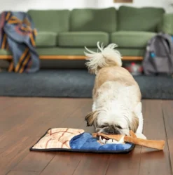 Frisco Camping Smores & Sleeping Bag Flat Plush Squeaky Dog Toy, 2 count -FRISCO Sales 271018 PT3. SY630 V1625009010