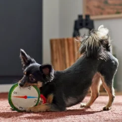 Frisco Camping Compass Plush with Rope Squeaky Dog Toy 7 Frisco Camping Compass Plush with Rope Squeaky Dog Toy -FRISCO Sales 271020 PT3. SY630 V1625008965